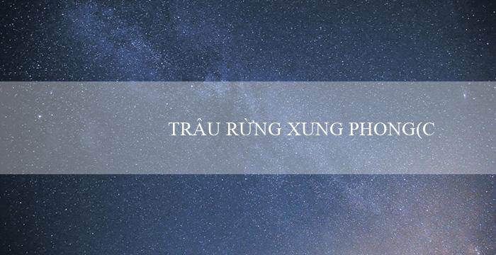 TRÂU RỪNG XUNG PHONG(Cố đô kiến trúc độc đáo của người Maya)