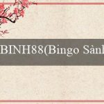 BINH88(Bingo Sành Điệu)