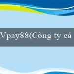 Vpay88(Công ty cá cược trực tuyến Vo88)