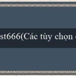 st666(Các tùy chọn cá cược đa dạng tại Vo88)