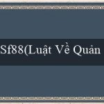 Sf88(Luật Về Quản Lý và Sử Dụng Tài Nguyên Nước)