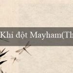 Khỉ đột Mayham(Thành phố Cổ Maya lung linh và huyền bí)