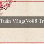 Tuần Vàng(Vo88 Truyền cảm hứng với sự hào hứng)