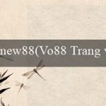 new88(Vo88 Trang web cá cược hàng đầu Việt Nam)