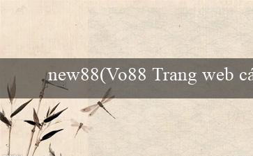 new88(Vo88 Trang web cá cược hàng đầu Việt Nam)