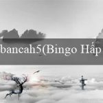 bancah5(Bingo Hấp Dẫn)