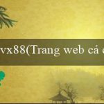 vx88(Trang web cá cược trực tuyến hàng đầu – Vo88)