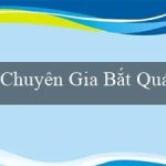 Chuyên Gia Bắt Quái(Độc đáo Bingo Trò chơi Bingo sôi độngainment获取)