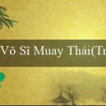 Võ Sĩ Muay Thái(Trải Nghiệm Cá Cược Hấp Dẫn Tại Vo88)