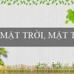 MẶT TRỜI, MẶT TRĂNG VÀ CÁC VÌ SAO(Quy định về hành vi vi phạm trật tự xã hội)