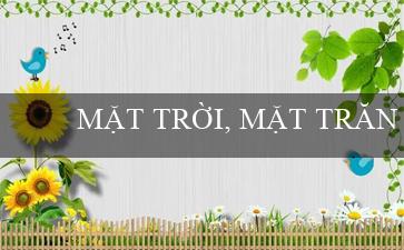 MẶT TRỜI, MẶT TRĂNG VÀ CÁC VÌ SAO(Quy định về hành vi vi phạm trật tự xã hội)