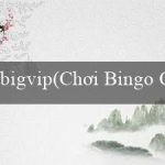 bigvip(Chơi Bingo Cực Kỳ Sôi Động)