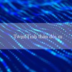 Twin(Tinh thần đổi mới để giành được tiền thưởng)