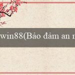 win88(Bảo đảm an ninh giao thông và trật tự đường bộ)