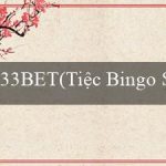 33BET(Tiệc Bingo Sôi Động)