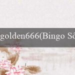 golden666(Bingo Sôi Động)