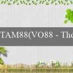 TAM88(VO88 – Thỏa sức chơi game và đặt cược hàng đầu)