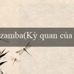 zamba(Kỳ quan của Thành phố vàng Maya)