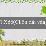 TX66(Chốn đất vàng của văn minh Maya)