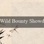 Wild Bounty Showdown(Vinh dự và Đẳng cấp Sòng bạc trực tuyến Vo88)