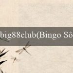 big88club(Bingo Sôi Động)