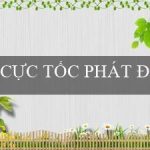 CỰC TỐC PHÁT ĐẠI TÀI(Chốn đất vàng của văn hóa Maya)