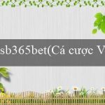 sb365bet(Cá cược Vo88 Nền tảng đa dạng và uy tín)