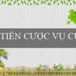 TIỀN CƯỢC VỤ CƯỚP(Thế giới cá cược trực tuyến tại Vo88)