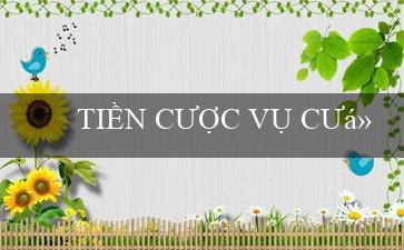 TIỀN CƯỢC VỤ CƯỚP(Thế giới cá cược trực tuyến tại Vo88)