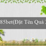 85bet(Đặt Tên Quà Xốp mới cho Trò Chơi Bingo độc đáo)