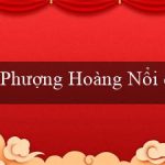 Phượng Hoàng Nổi dậy(Nhà cái Vo88 chuyển đổi sang ngôn ngữ tiếng Việt)