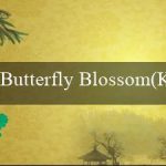 Butterfly Blossom(Kinh nghiệm chơi cá độ trực tuyến tại Vo88)