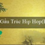 Gấu Trúc Hip Hop(Bộ luật mới về quản lý và sử dụng vốn đầu tư công)