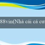 88vin(Nhà cái cá cược trực tuyến hàng đầu – Vo88)