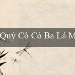 Quý Cô Cỏ Ba Lá May Mắn(Chiếc vé vào thế giới số Việt Nam Vo88)