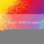 Banker Bull(Trải nghiệm trò chơi đặc sắc tại nhà cái Vo88)