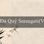 Đá Quý Serengeti(Vũ trụ giải trí trực tuyến số một Việt Nam)