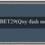 BET29(Quy định mới về quản lý và sử dụng vốn nhà nước)