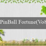 PinBall Fortune(Vo88 Cái tên hứa hẹn cho sự thú vị và hấp dẫn)