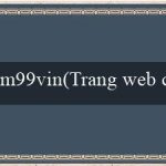 m99vin(Trang web cá cược trực tuyến hàng đầu – Vo88)