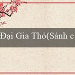 Đại Gia Thỏ(Sảnh cá cược trực tuyến hàng đầu – Vo88)