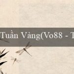 Tuần Vàng(Vo88 – Trang web cá cược uy tín và hấp dẫn)