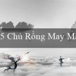 5 Chú Rồng May Mắn(Đỉnh cao trải nghiệm cá cược tại Vo88!)