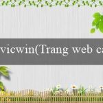 vicwin(Trang web cá cược trực tuyến Vo88)