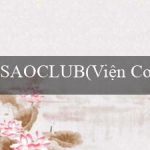 SAOCLUB(Viện Cơ thể Hạt nhân và Vũ trụ)