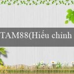 TAM88(Hiếu chỉnh luật cấm công nghệ thông tin…)