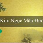 Kim Ngọc Mãn Đường(Đặt cược tại sòng bạc trực tuyến Vo88)