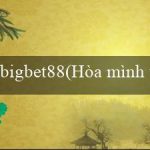 bigbet88(Hòa mình vào thế giới cá cược tại Vo88)