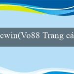 cwin(Vo88 Trang cá cược trực tuyến hàng đầu)