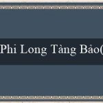 Phi Long Tàng Bảo(Nhà cái cá cược trực tuyến hàng đầu – Vo88)